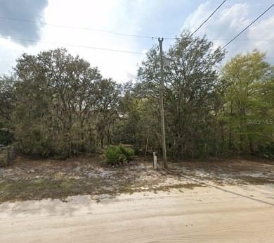 Interlachen lot with great potential for building or long-term - photo 3