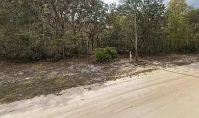 Interlachen lot with great potential for building or long-term - photo 4