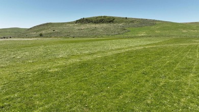 Irrigated Pasture with Half Mile of HWY 89 Frontage Near Bear - photo 25