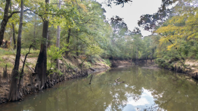 WATERFRONT - Big Cypress River - 1.15 Acres - photo 11