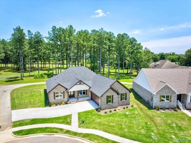 Move-in ready, beautiful new construction home located in The - photo 1