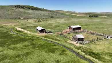 Irrigated Pasture with Half Mile of HWY 89 Frontage Near Bear - photo 32