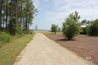 Rare Lagoon-Front Estate Property | 3.07 Acres (+-)Discover an - photo 33