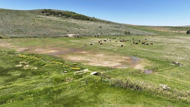 Irrigated Pasture with Half Mile of HWY 89 Frontage Near Bear - photo 34