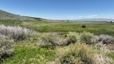 Irrigated Pasture with Half Mile of HWY 89 Frontage Near Bear - photo 35