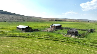 Irrigated Pasture with Half Mile of HWY 89 Frontage Near Bear - photo 38
