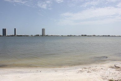 Rare Lagoon-Front Estate Property | 3.07 Acres (+-)Discover an - photo 49