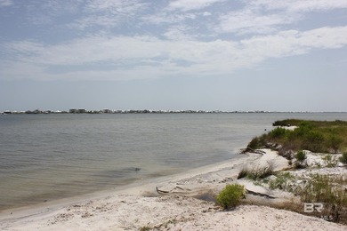 Rare Lagoon-Front Estate Property | 3.07 Acres (+-)Discover an - photo 50
