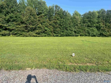 Lake Lot For Sale in Cedar Bluff, Alabama