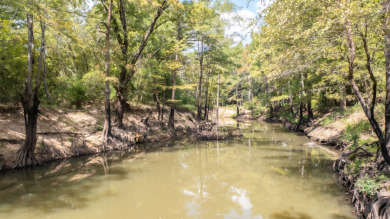 WATERFRONT - Big Cypress River - 1.15 Acres - photo 2