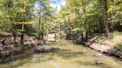 WATERFRONT - Big Cypress River - 1.15 Acres - photo 4