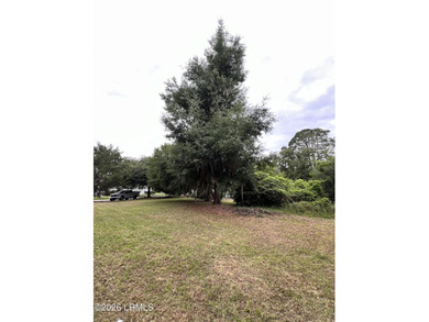 Don't miss this exceptional chance to own nearly half an acre of - photo 2