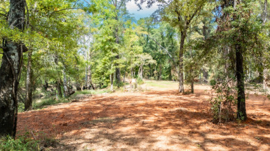 WATERFRONT - Big Cypress River - 1.15 Acres - photo 14