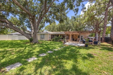 Lake Home For Sale in St. Petersburg, Florida