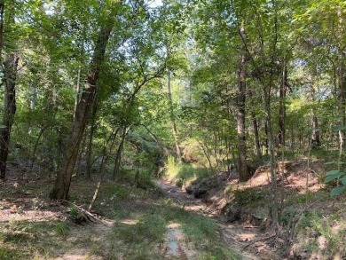 Lake Acreage For Sale in Athens, Texas