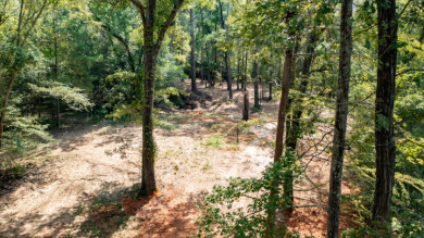 WATERFRONT - Big Cypress River - 1.15 Acres - photo 16