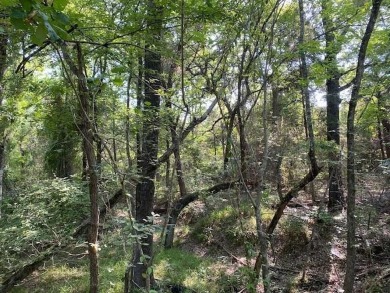 Lake Acreage For Sale in Athens, Texas