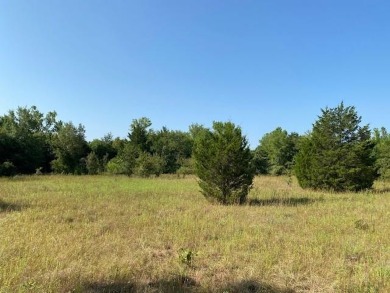 Lake Acreage For Sale in Athens, Texas