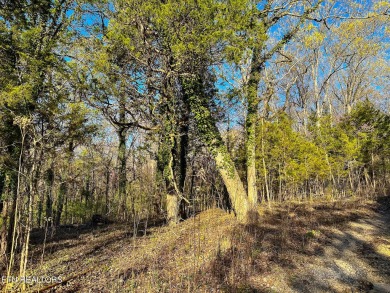 Lake Lot For Sale in Louisville, Tennessee