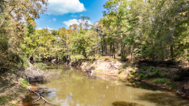 WATERFRONT - Big Cypress River - 1.15 Acres - photo 13