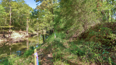 WATERFRONT - Big Cypress River - 1.15 Acres - photo 25
