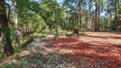 WATERFRONT - Big Cypress River - 1.15 Acres - photo 26