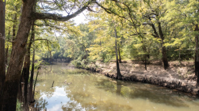 Lake Lot For Sale in Jefferson, Texas