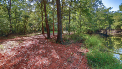 WATERFRONT - Big Cypress River - 1.15 Acres - photo 27