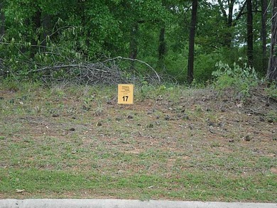 See 96538 Mineral Rights Are Reserved. Beautiful West Shreveport - photo 1