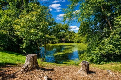 Experience lakeside living at its finest in the highly desirable - photo 37