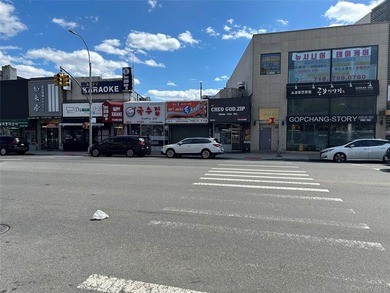 3 Stores, Strip Center on Northern Blvd. 4,575 Sq. Ft. parking - photo 1
