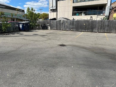 3 Stores, Strip Center on Northern Blvd. 4,575 Sq. Ft. parking - photo 4