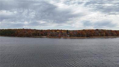 Room for the whole family!! Located on 101' feet of lake - photo 4