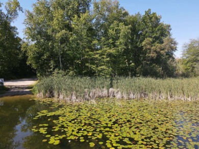 Lee Lake - Oconto County Acreage For Sale in Pound Wisconsin