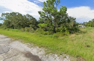 Prime buildable lot in Port Charlotte Sub. This property - photo 3