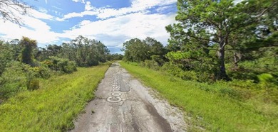 Prime buildable lot in Port Charlotte Sub. This property - photo 5