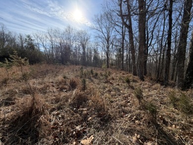3+ acre building lot near Moutardier Marina - photo 5