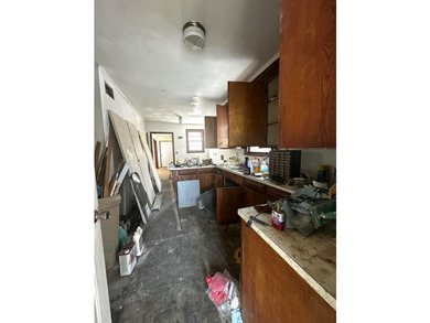 THREE Properties! Rare Downtown Opportunity - 227 Fishburne St - photo 16