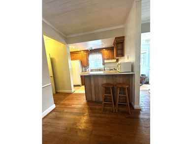 THREE Properties! Rare Downtown Opportunity - 227 Fishburne St - photo 18