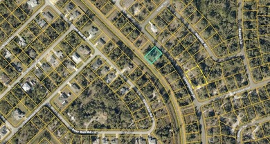 Prime buildable lot in Port Charlotte Sub. This property - photo 2