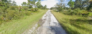 Prime buildable lot in Port Charlotte Sub. This property - photo 3