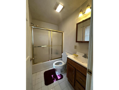 THREE Properties! Rare Downtown Opportunity - 227 Fishburne St - photo 28