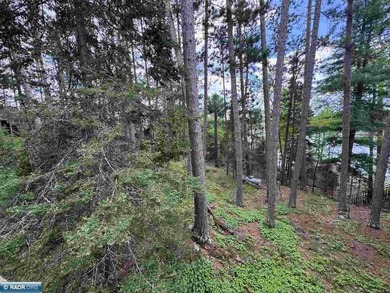 Charming 3 Bedroom Retreat Amidst Towering Pines! This - photo 36
