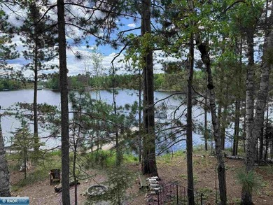 Charming 3 Bedroom Retreat Amidst Towering Pines! This - photo 37