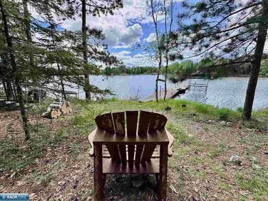 Charming 3 Bedroom Retreat Amidst Towering Pines! This - photo 40