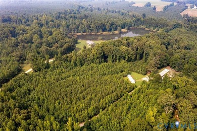 Here is your opportunity to own nearly 120 acres in Dinwiddie - photo 16