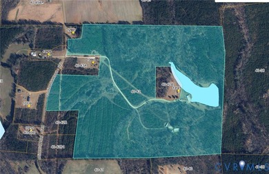 Here is your opportunity to own nearly 120 acres in Dinwiddie - photo 17