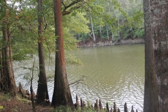 Caddo Lake Lot Under Contract in Jefferson Texas