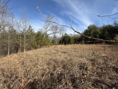 3+ acre building lot near Moutardier Marina - photo 8