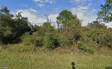 Lake Marion - Polk County Lot For Sale in Poinciana Florida